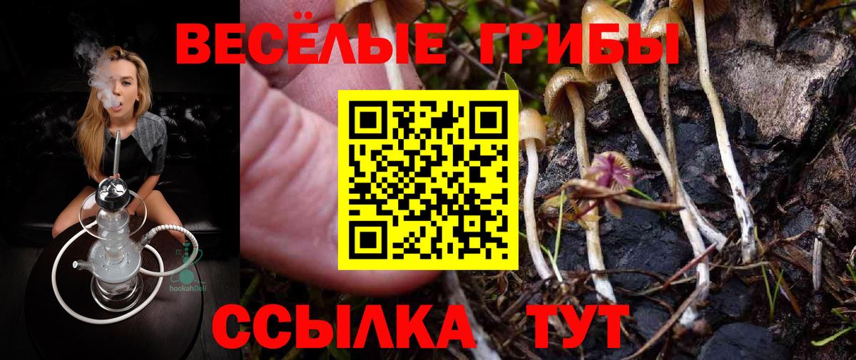 цены наркотик  Вход с VPN  Бугуруслан  Псилоцибиновые грибы GOLDEN TEACHER 