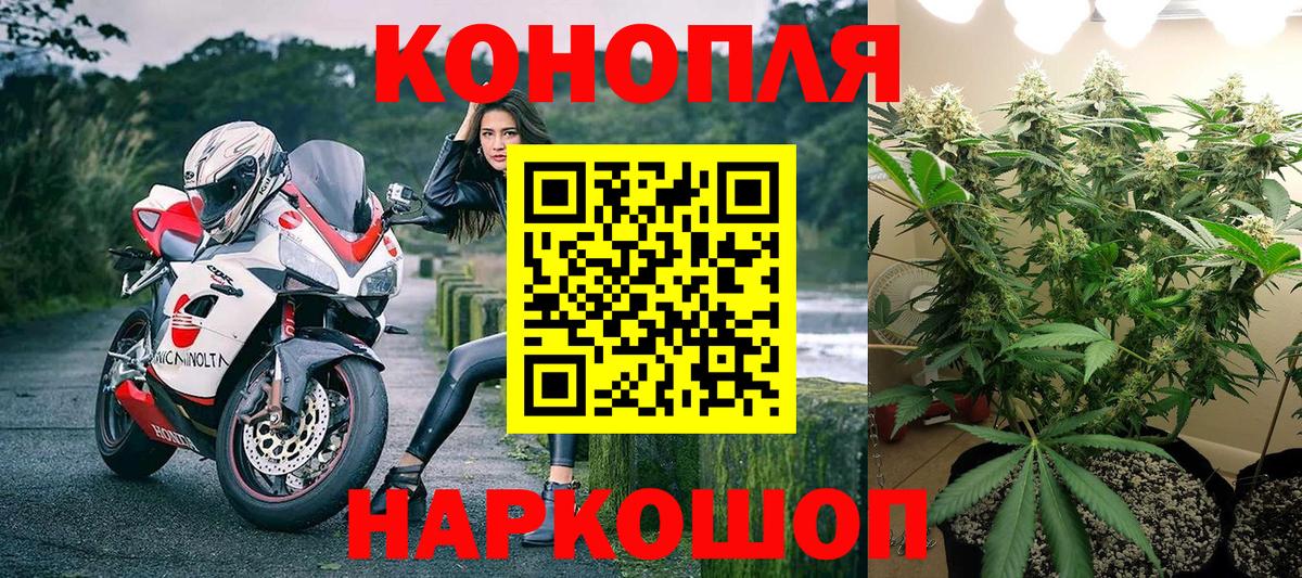 Марихуана сатива Бугуруслан